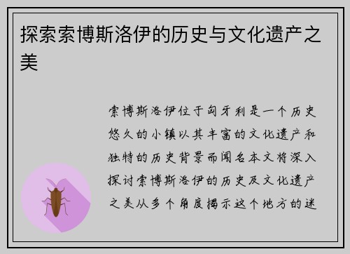 探索索博斯洛伊的历史与文化遗产之美