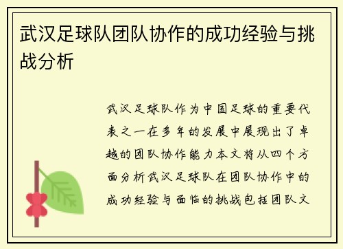 武汉足球队团队协作的成功经验与挑战分析